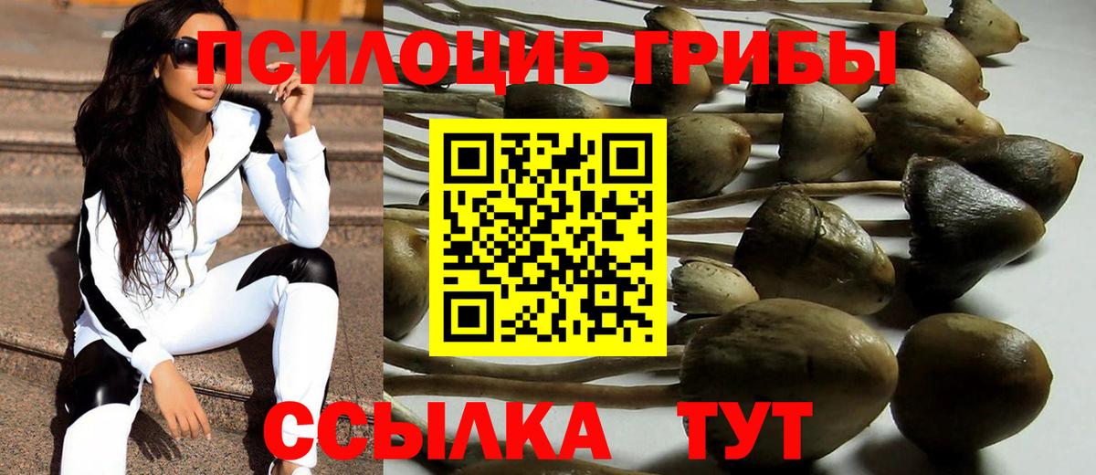 Галлюциногенные грибы Psilocybe  Вход с VPN  Мурманск 